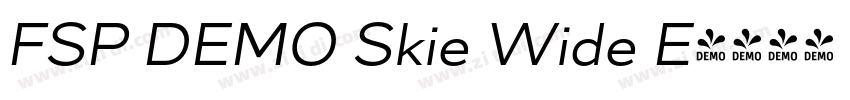 FSP DEMO Skie Wide E字体转换